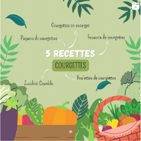 5 recettes courgettes